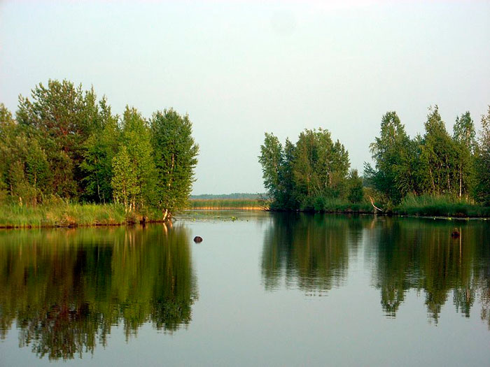 Муромское озеро в Шатуре